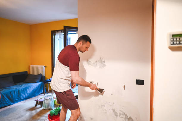 Best Professional Mold Removal  in Gravette, AR